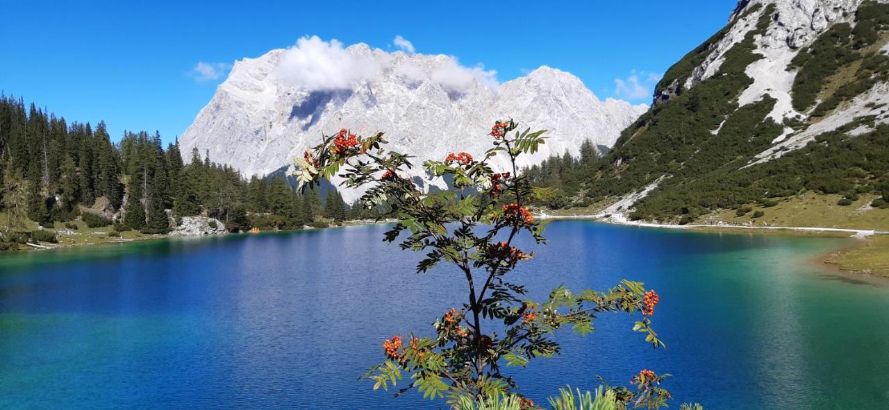 Haus Alpenblick Aparthotel แอห์วัลด์ ภายนอก รูปภาพ